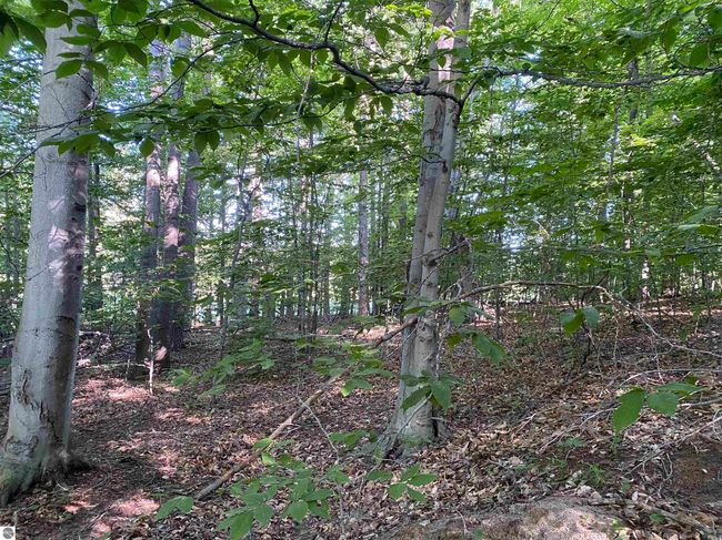 Lot 10 S Club Dr, Home with 0 bedrooms, 0 bathrooms and null parking in Cedar MI | Image 16