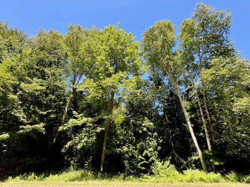 0 Concorde, Oscoda, MI, 48750 | Card Image