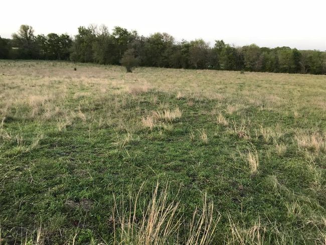 5796 Hurtig Rd, Home with 0 bedrooms, 0 bathrooms and null parking in Bleiblerville TX | Image 20