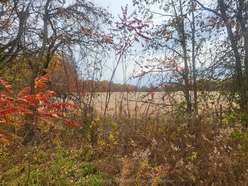 Lot 1 Bush Road, Rideau Lakes, ON, K0G1V0 | Card Image