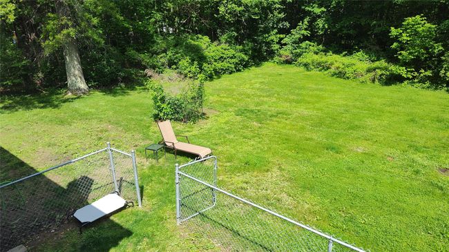 View of green lawn | Image 15
