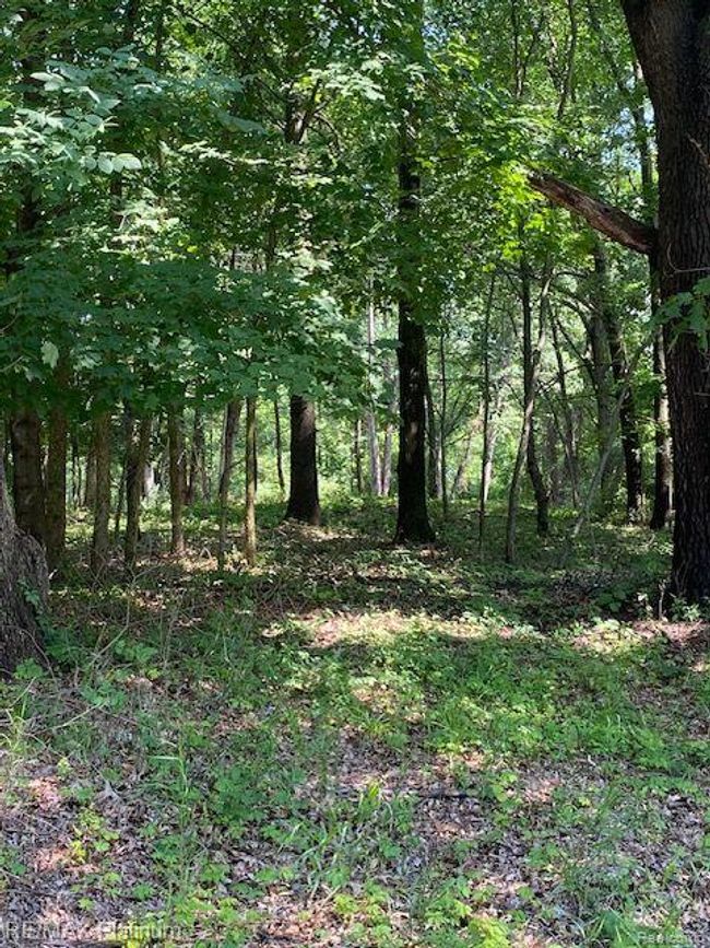 6 Sleaford Parcel 6   2.1 Acres Road, Home with 0 bedrooms, 0 bathrooms and null parking in Howell Township MI | Image 43