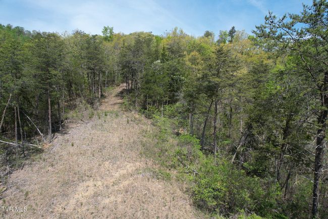 0 Coy Bradley Ln, Home with 0 bedrooms, 0 bathrooms and null parking in Bulls Gap TN | Image 19