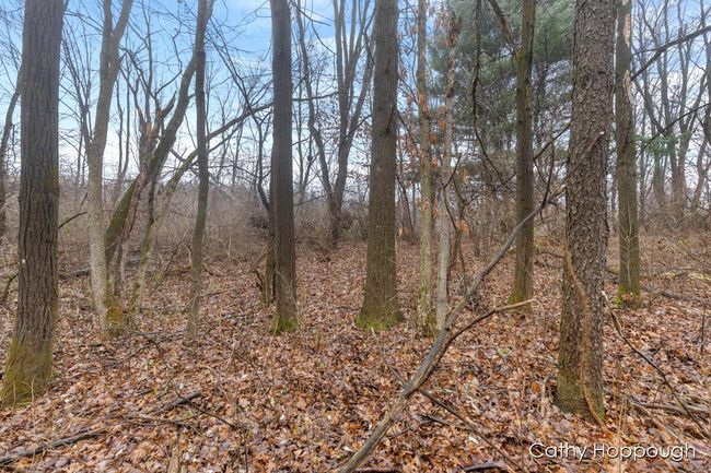 PARCEL-1 - V/L W Snows Lake Road, Home with 0 bedrooms, 0 bathrooms and null parking in Fenwick MI | Image 14