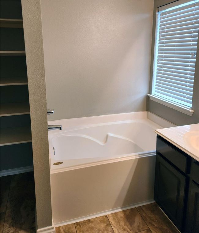 Master Bathroom | Image 12