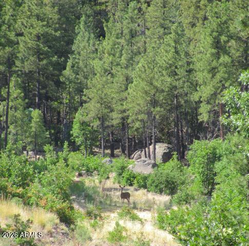 Land in Williams