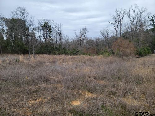 3515 Chapel Vw, Tyler, TX, 75707-0010 | Card Image