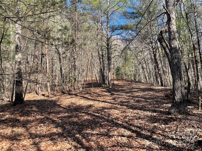 0000 Pine Log Rd, Home with 0 bedrooms, 0 bathrooms and null parking in Warne NC | Image 8