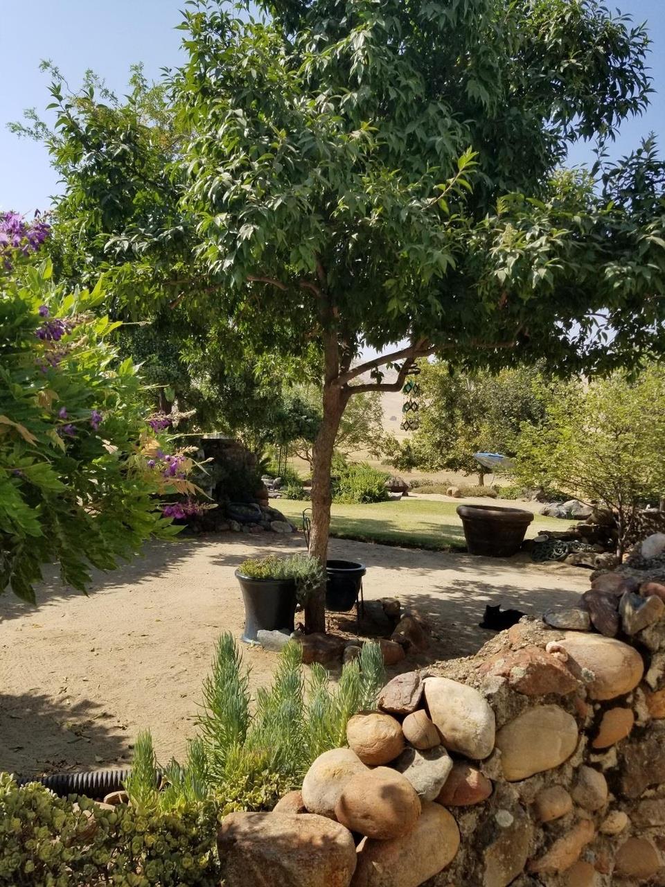 Residential in Sanger 5