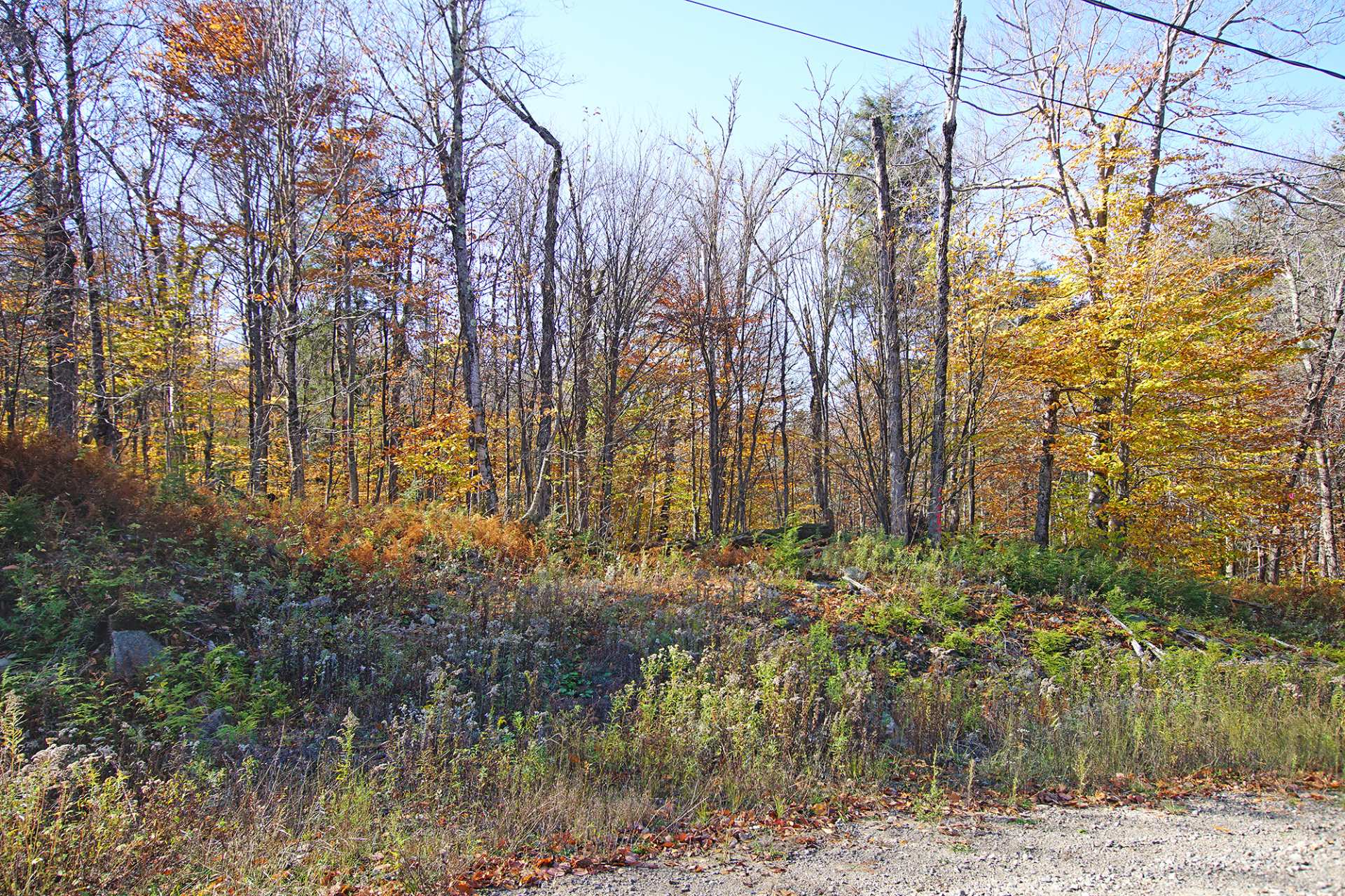 Land in Wentworth 4