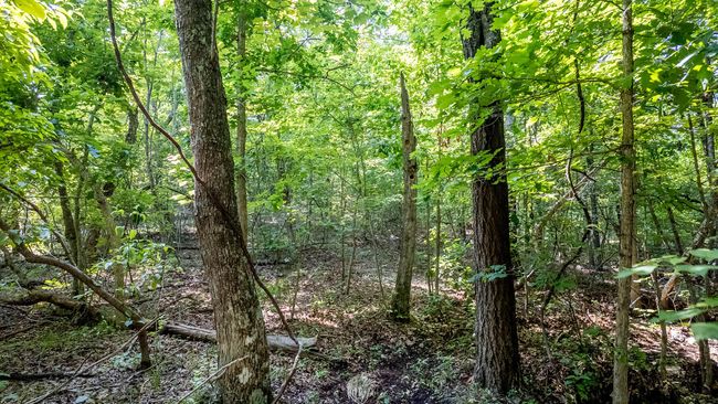 Cabin on 13 acres023 | Image 17