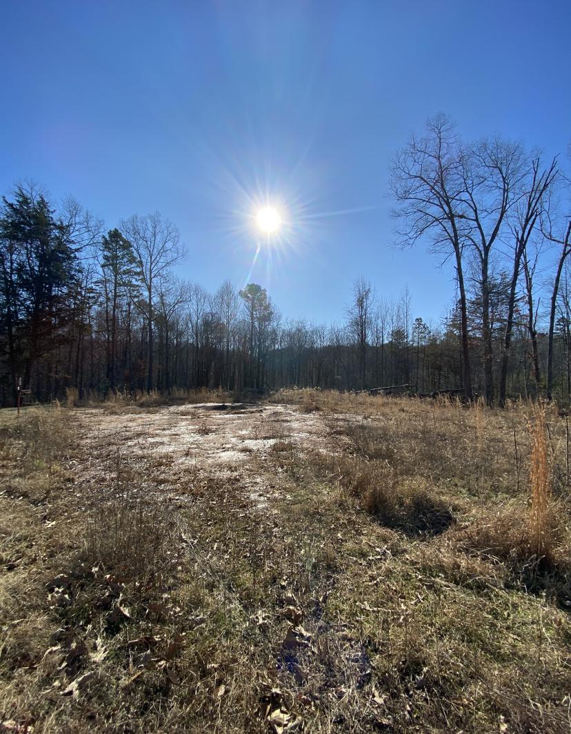 Land in LOUISA 4