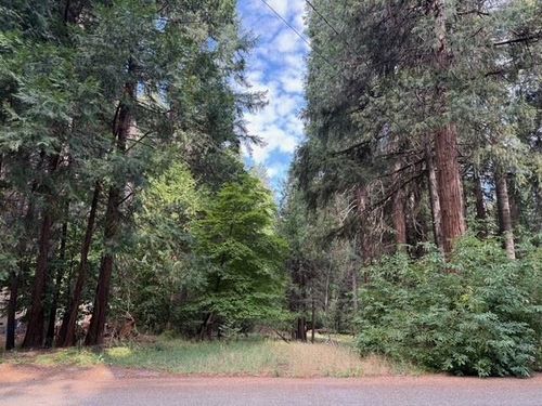 6201 Bucktail Ln, Pollock Pines, CA, 95726-9013 | Card Image