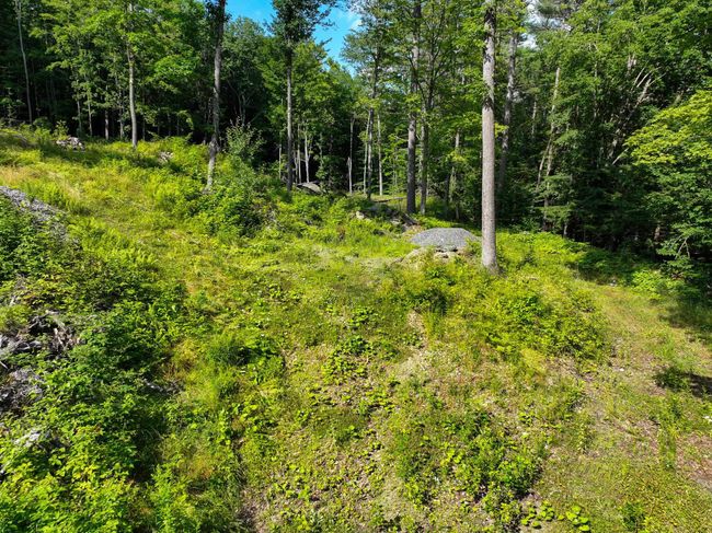 0 Rose Hill Rd, Home with 0 bedrooms, 0 bathrooms and null parking in Woodstock VT | Image 9
