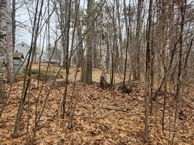 0 Dock Rd, Home with 0 bedrooms, 0 bathrooms and null parking in Gilmanton NH | Image 11