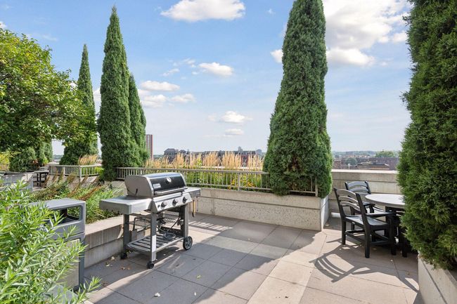Shared-use grills on terrace | Image 42