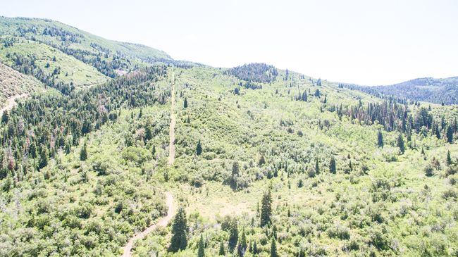 Property view of mountains with a view of trees | Image 14