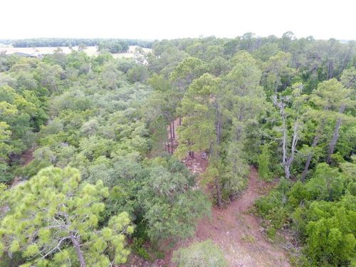 155 Snake Hill Rd, CRESCENT CITY, FL, 32112 | Card Image
