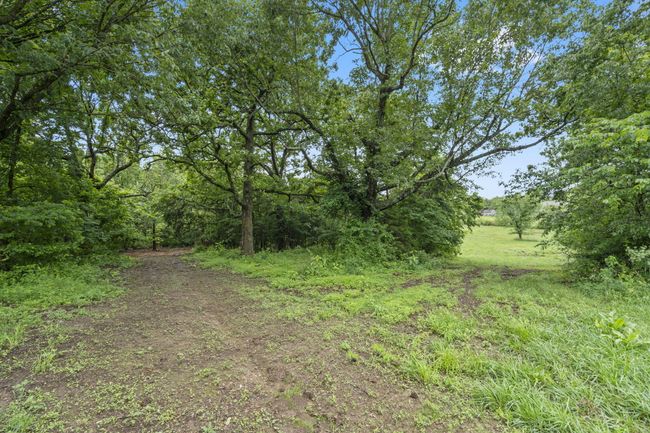 6-web-or-mls-DSC02439 | Image 6