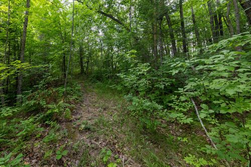TBD Oak St, Brainerd, MN, 56401 | Card Image