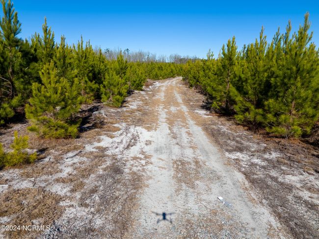 00 Sykes Town Rd, Home with 0 bedrooms, 0 bathrooms and null parking in Currie NC | Image 20