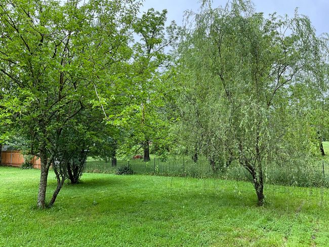 View 5 | Image 43