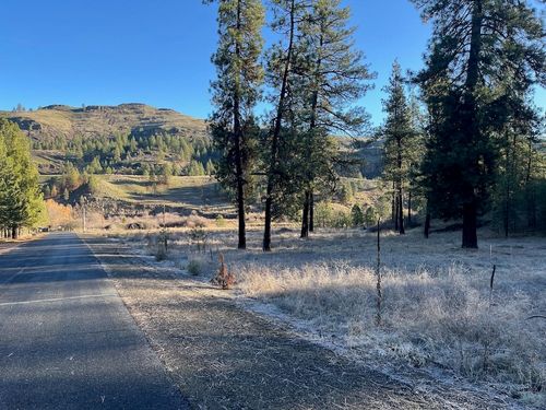 31824 Blue Grouse Dr E, Davenport, WA, 99122 | Card Image