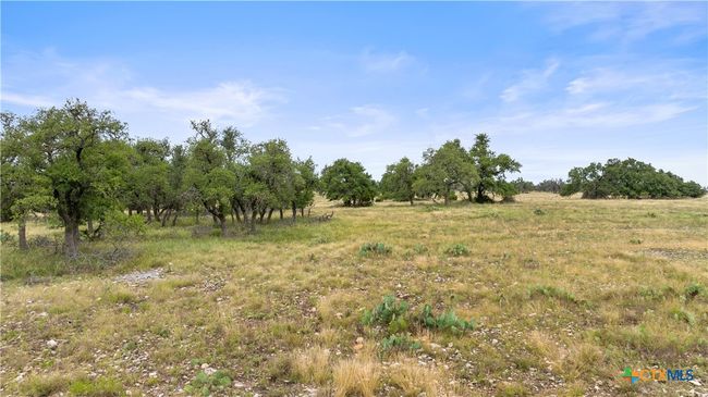 3049 Reservation Rd, Home with 0 bedrooms, 0 bathrooms and null parking in Harper TX | Image 44