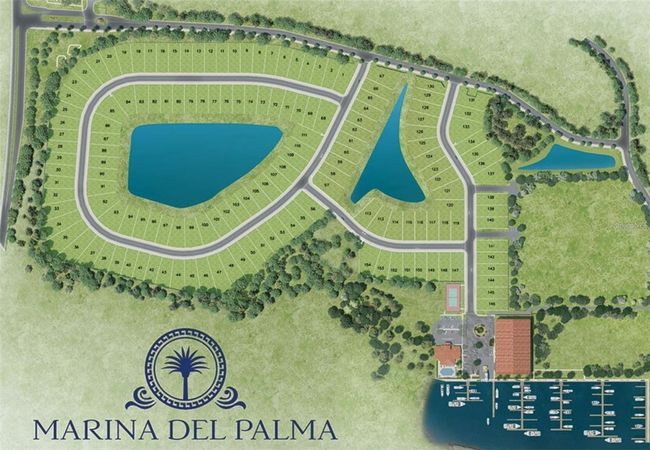 50 Del Palma Dr, Home with 0 bedrooms, 0 bathrooms and null parking in PALM COAST FL | Image 5