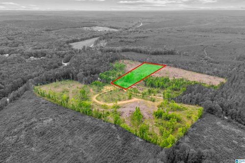 2-1 Active Rd, LAWLEY, AL, 36793 | Card Image