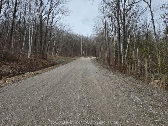 422 Young Ave, Home with 0 bedrooms, 0 bathrooms and null parking in Port McNicoll ON | Image 5
