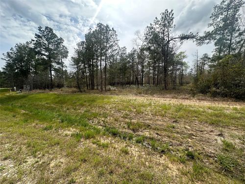 219 Iron Horse Rd, New Waverly, TX, 77358 | Card Image