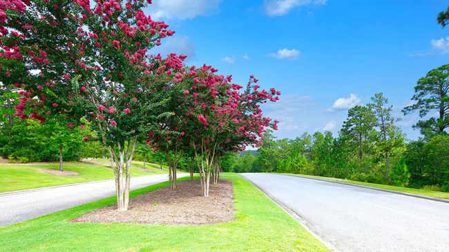 526 Whitby Ct, House other with 3 bedrooms, 2 bathrooms and null parking in Aiken SC | Image 12