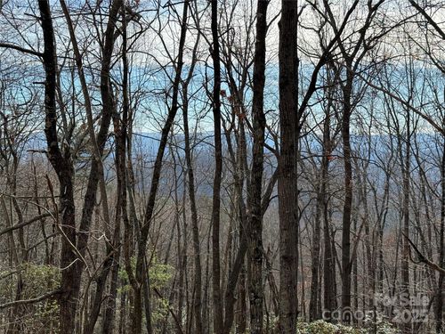 36-TBD Bobcat Mountain Road, Purlear, NC, 28665 | Card Image