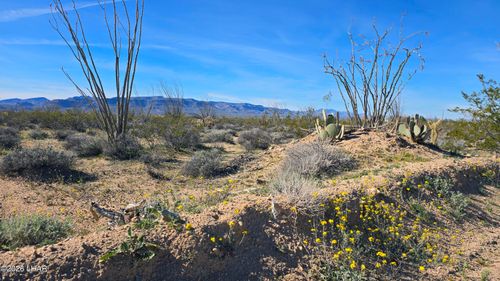 3035 S Castle Butte Rd, Yucca, AZ, 86438 | Card Image