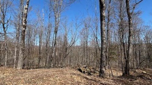 1376 Kingdom Road, Plymouth, VT, 05056 | Card Image