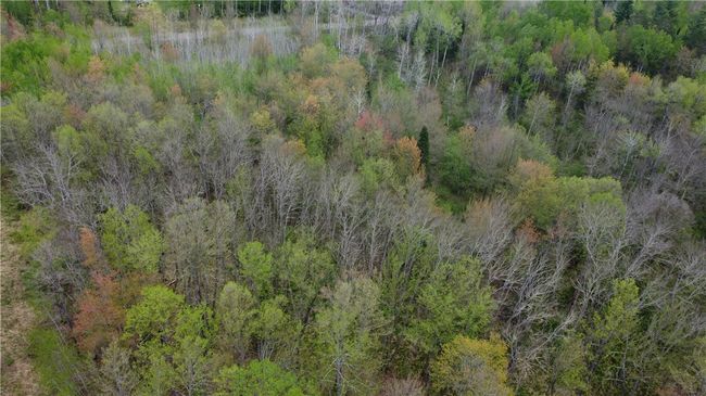 2 Old Highway 2, Home with 0 bedrooms, 0 bathrooms and null parking in BRULE WI | Image 5