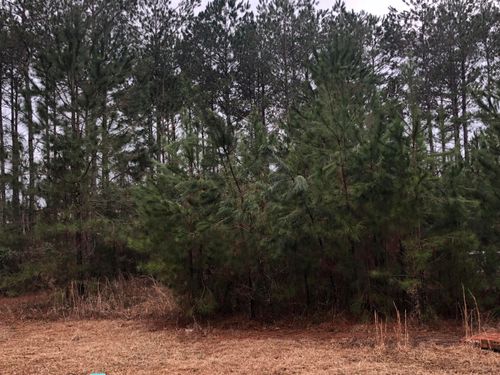 60 Belletower Turn, Hattiesburg, MS, 39402-7529 | Card Image