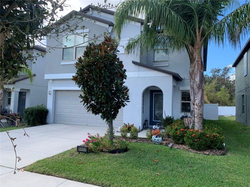 10460 Carloway Hills Dr, WIMAUMA, FL, 33598-6204 | Card Image