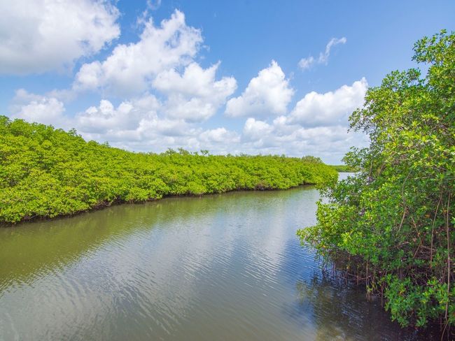 APT-54 - 4949 N Highway A1a, House attached with 3 bedrooms, 3 bathrooms and null parking in Hutchinson Island FL | Image 21