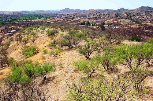 190-880 Side Oats Lane, Patagonia, AZ, 85624 | Card Image