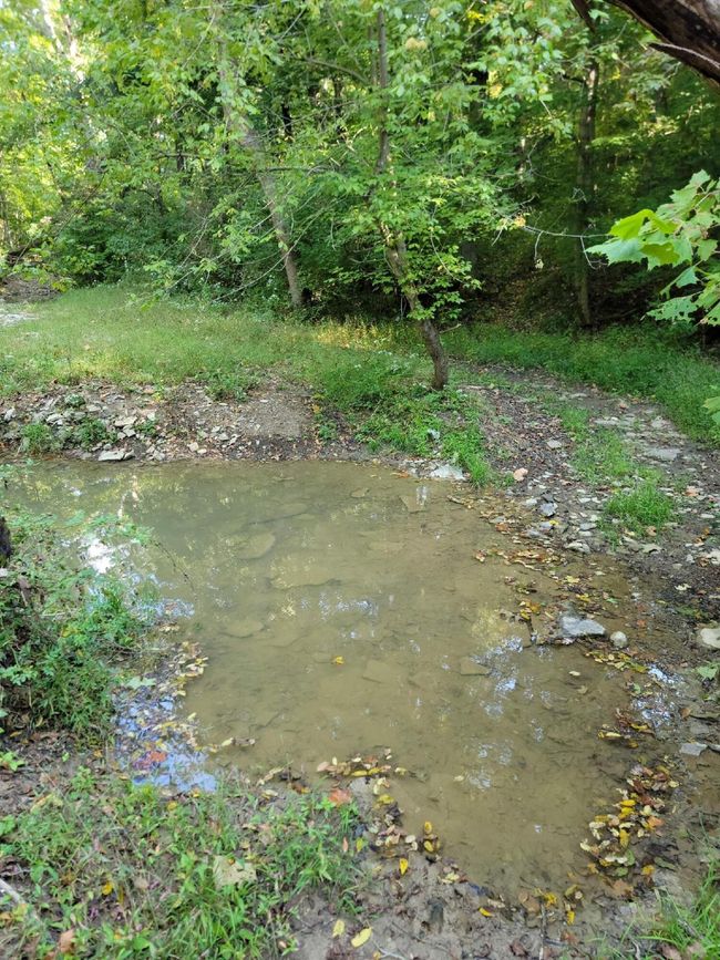 15711 Pfanstiel Rd, Home with 0 bedrooms, 0 bathrooms and null parking in Demossville KY | Image 7