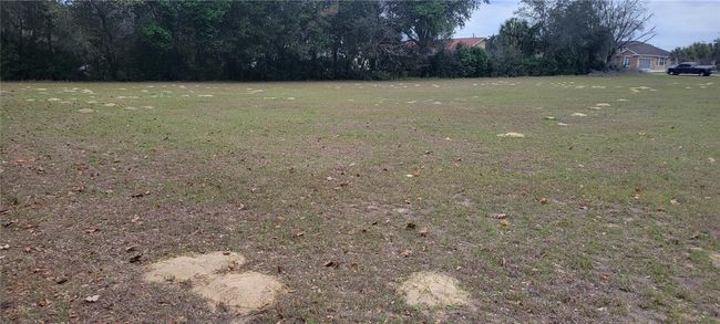 814 E Bismark St, Home with 0 bedrooms, 0 bathrooms and null parking in HERNANDO FL | Image 7