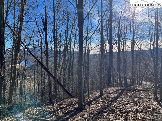 33 Paradise Valley Circle, Home with 0 bedrooms, 0 bathrooms and null parking in Creston NC | Image 7