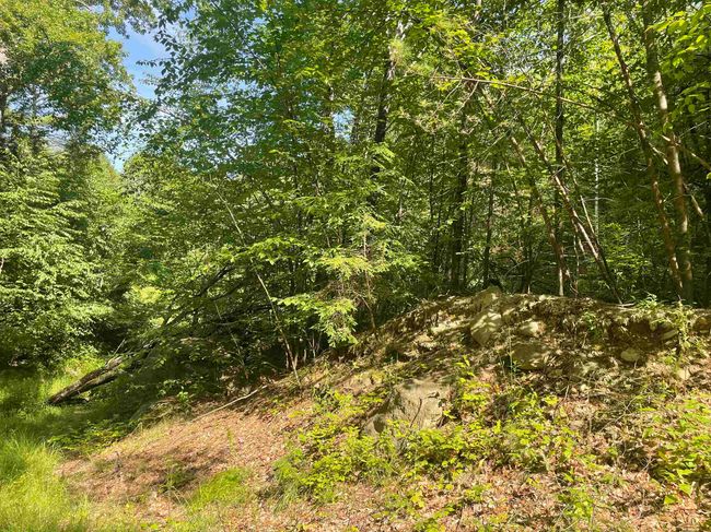 63 New Boston Rd, Home with 0 bedrooms, 0 bathrooms and null parking in Francestown NH | Image 19