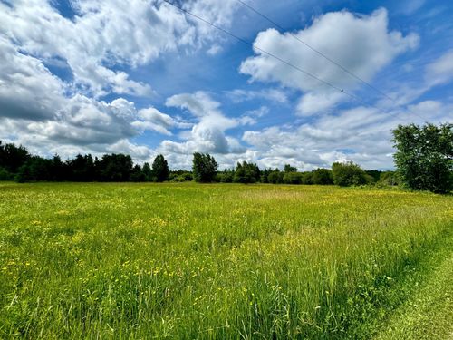 TBD 580th Ave, Warroad, MN, 56763 | Card Image