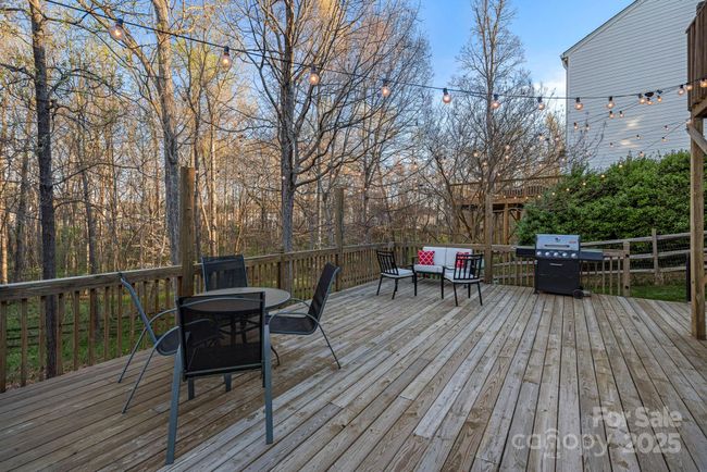 Lower Deck | Image 23