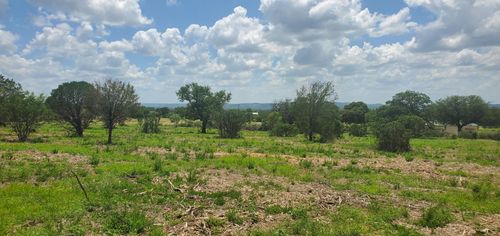 Tract 6 Lehne Loop, Buchanan Dam, TX, 78609 | Card Image