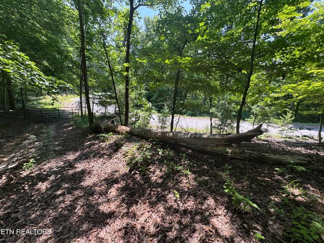 44 Ridgeland Dr, Home with 0 bedrooms, 0 bathrooms and null parking in Sharps Chapel TN | Image 17