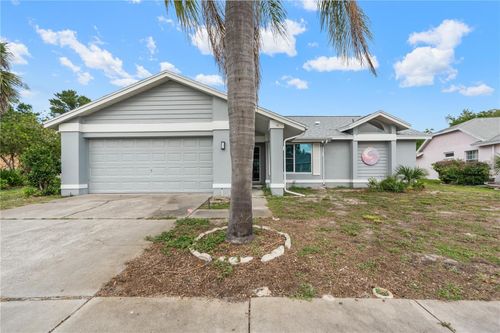 8635 Braxton Dr, HUDSON, FL, 34667-6990 | Card Image